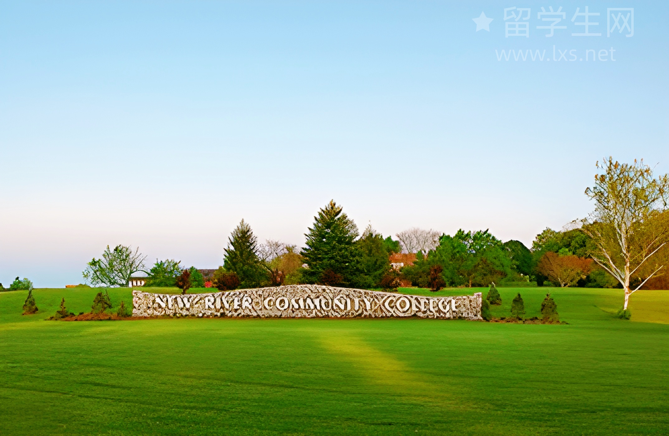 进泰莱大学,雅思要求一篇看懂