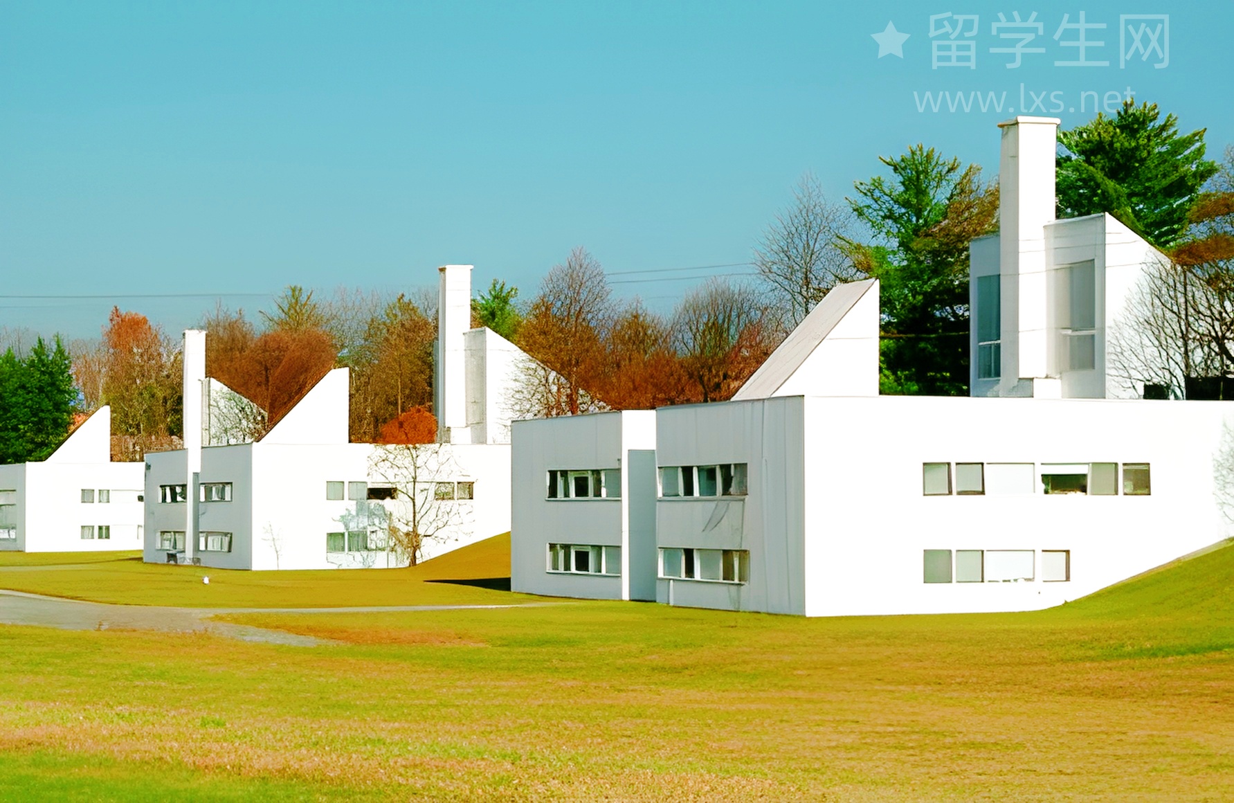 雅思托福怎么选？大神级攻略助你一战封神！