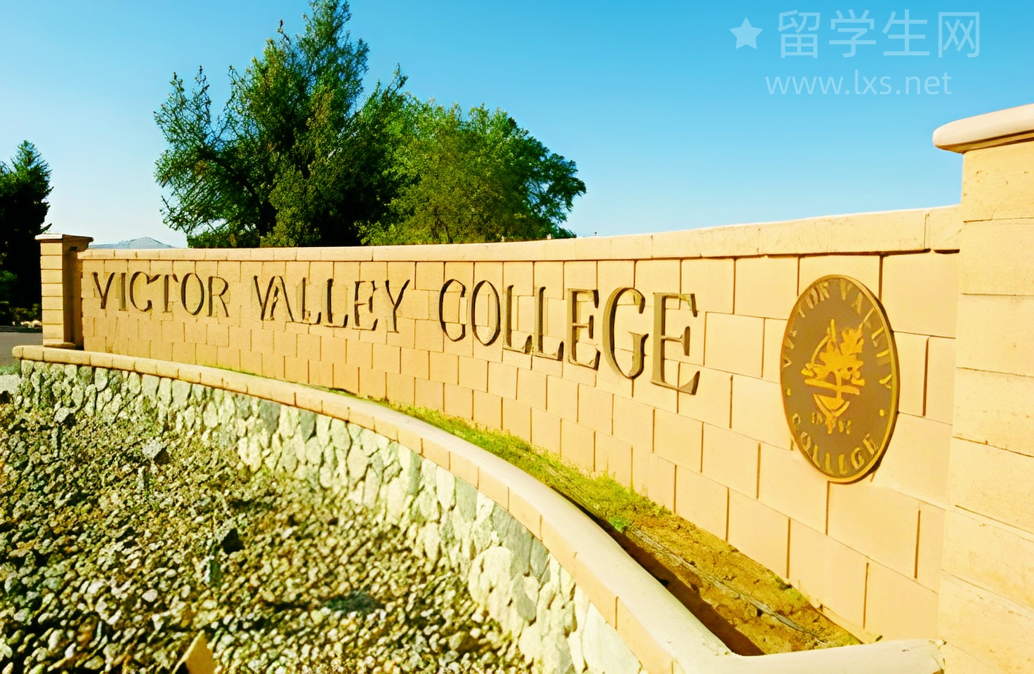 雅思圈，是屠鸭捷径还是智商税？