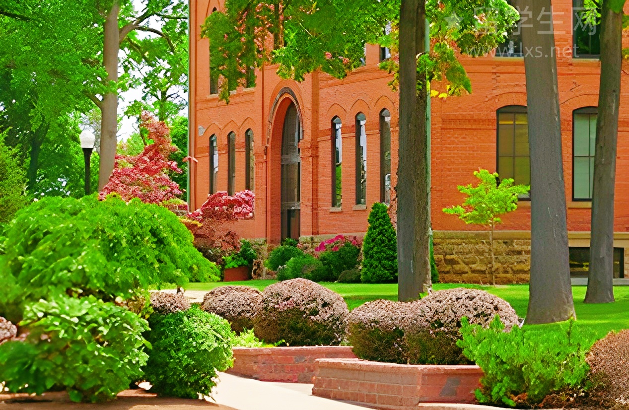 梦校offer最后一步：申请费支付指南