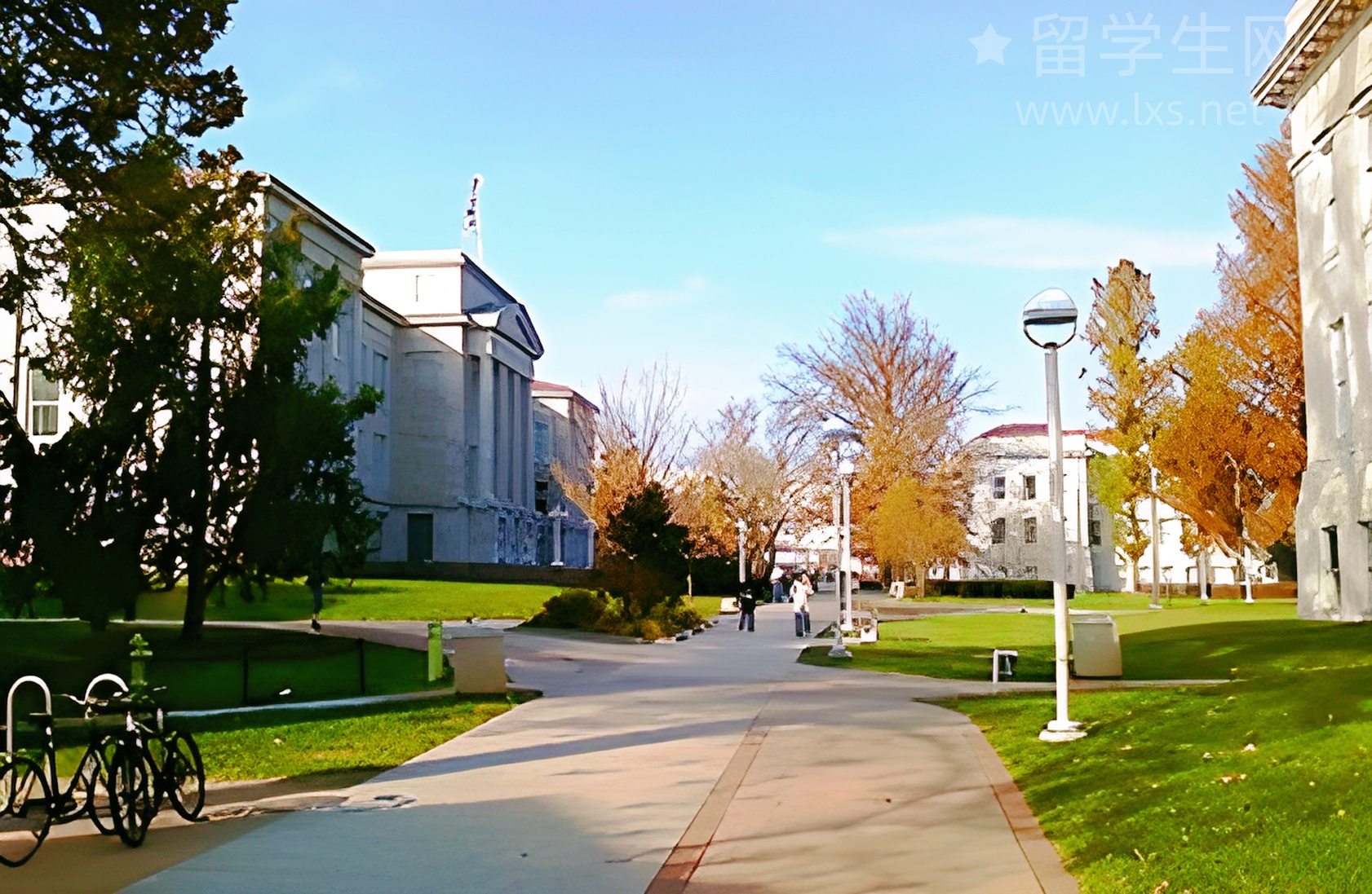 别只盯着托福，用雅思也能横扫美国名校