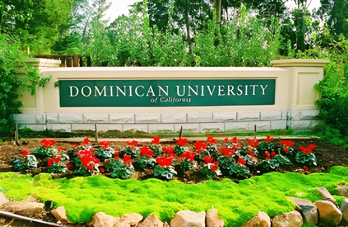 雅思黄金题库，高分学霸都在用