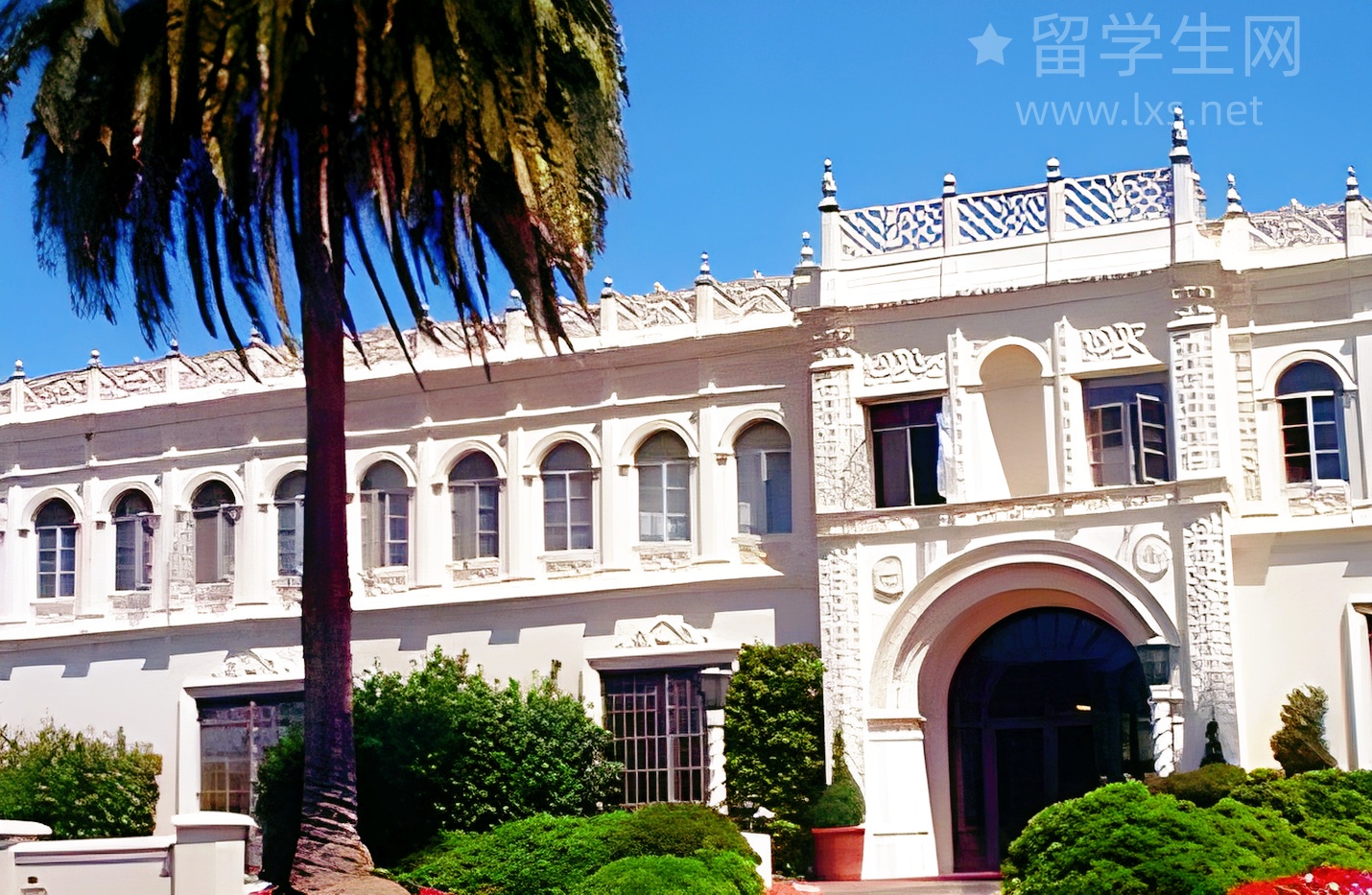 非法律背景？格里菲斯JD也能圆你澳洲律师梦！