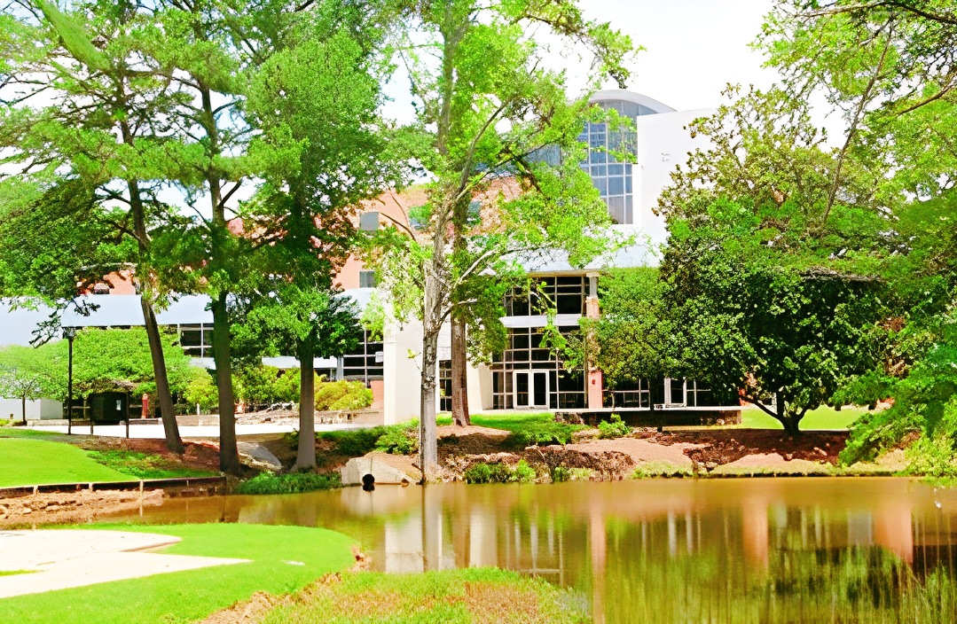 耶鲁哈佛终极对决，谁是藤校之王？