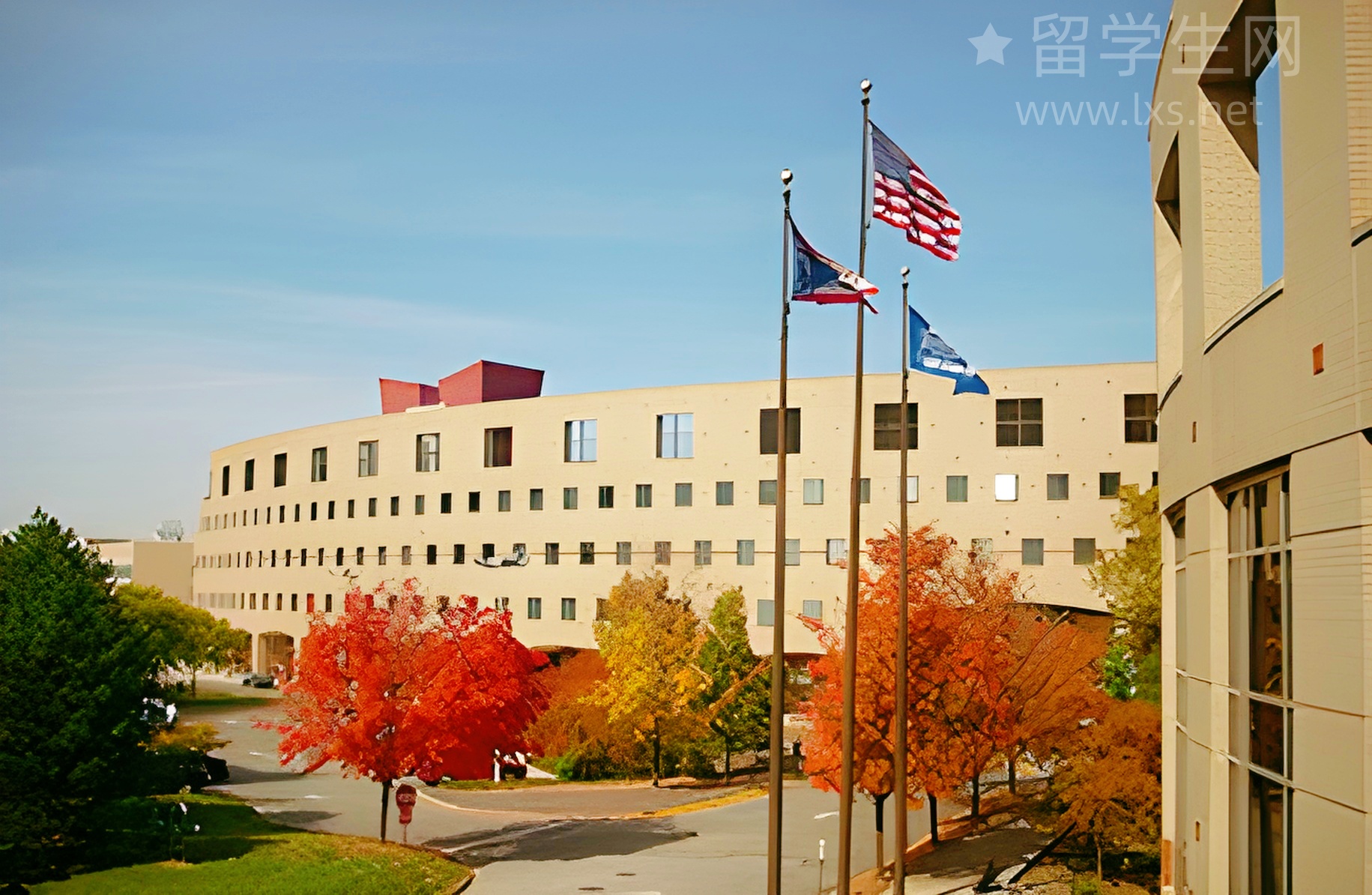 KCL王牌专业有多卷？录取不足10%