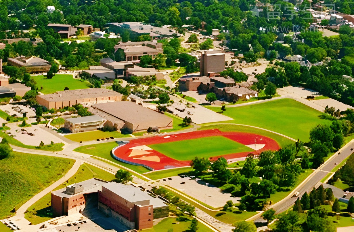 除了高分，港大招生官更看重这些