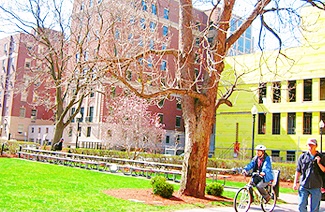 不加个社团，你的日本留学就白来了