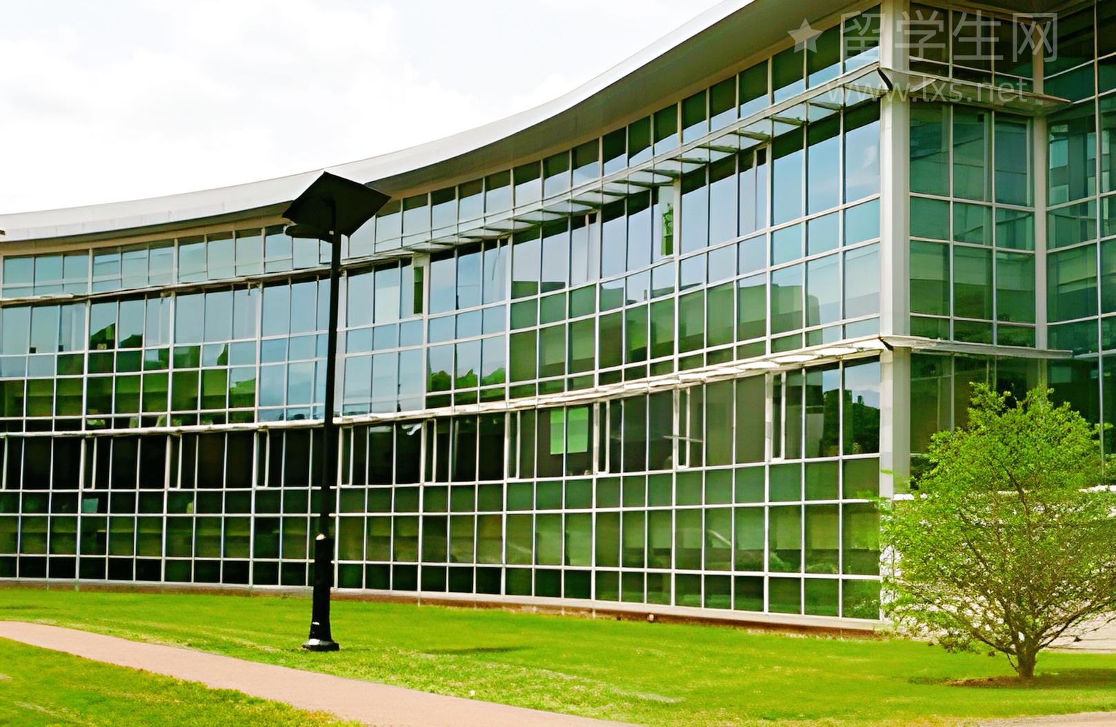 澳洲第一还不够？墨大到底有多卷？