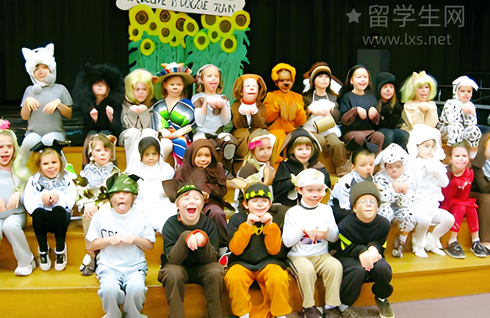 背完这些分类词汇，雅思阅读稳了！