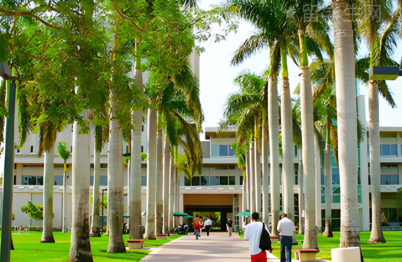 告别乱蒙，雅思matching题提分必杀技