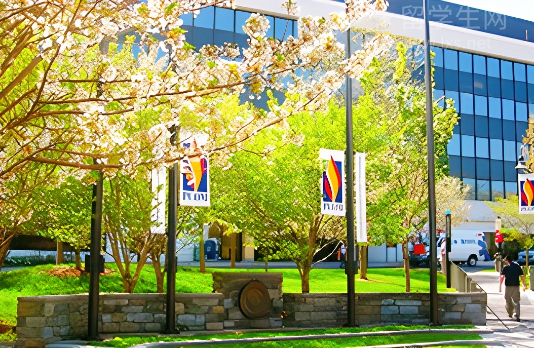 美国BME硕士：热门方向与神校全解析