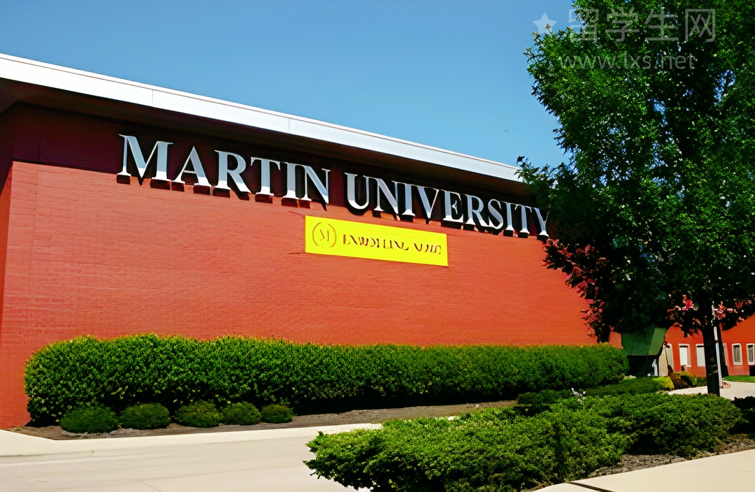 雅思核心考点大曝光，提分必备