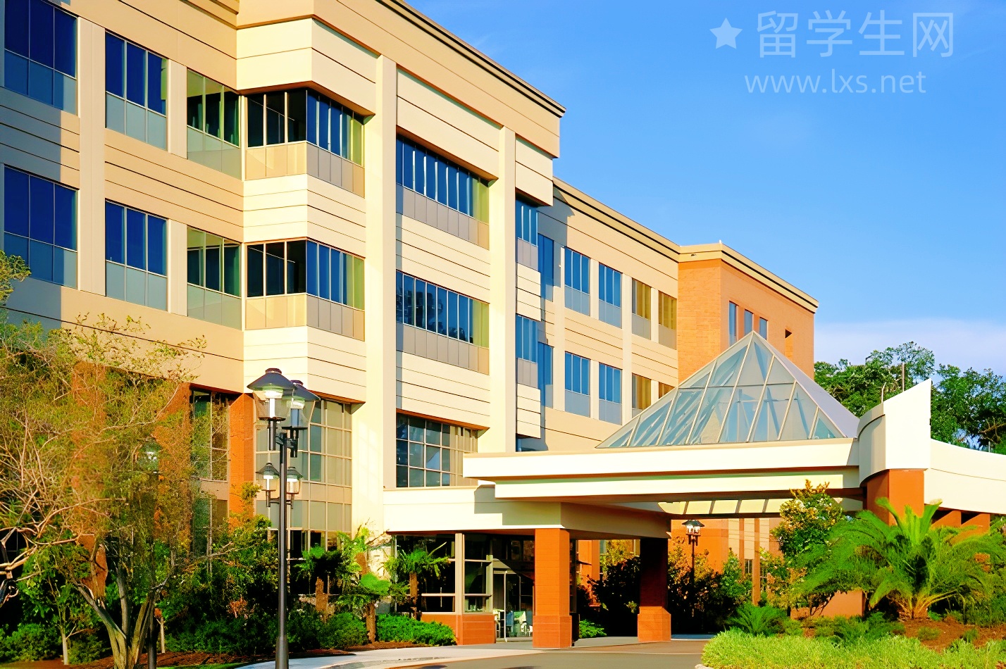 藤校敲门砖？美高到底香不香