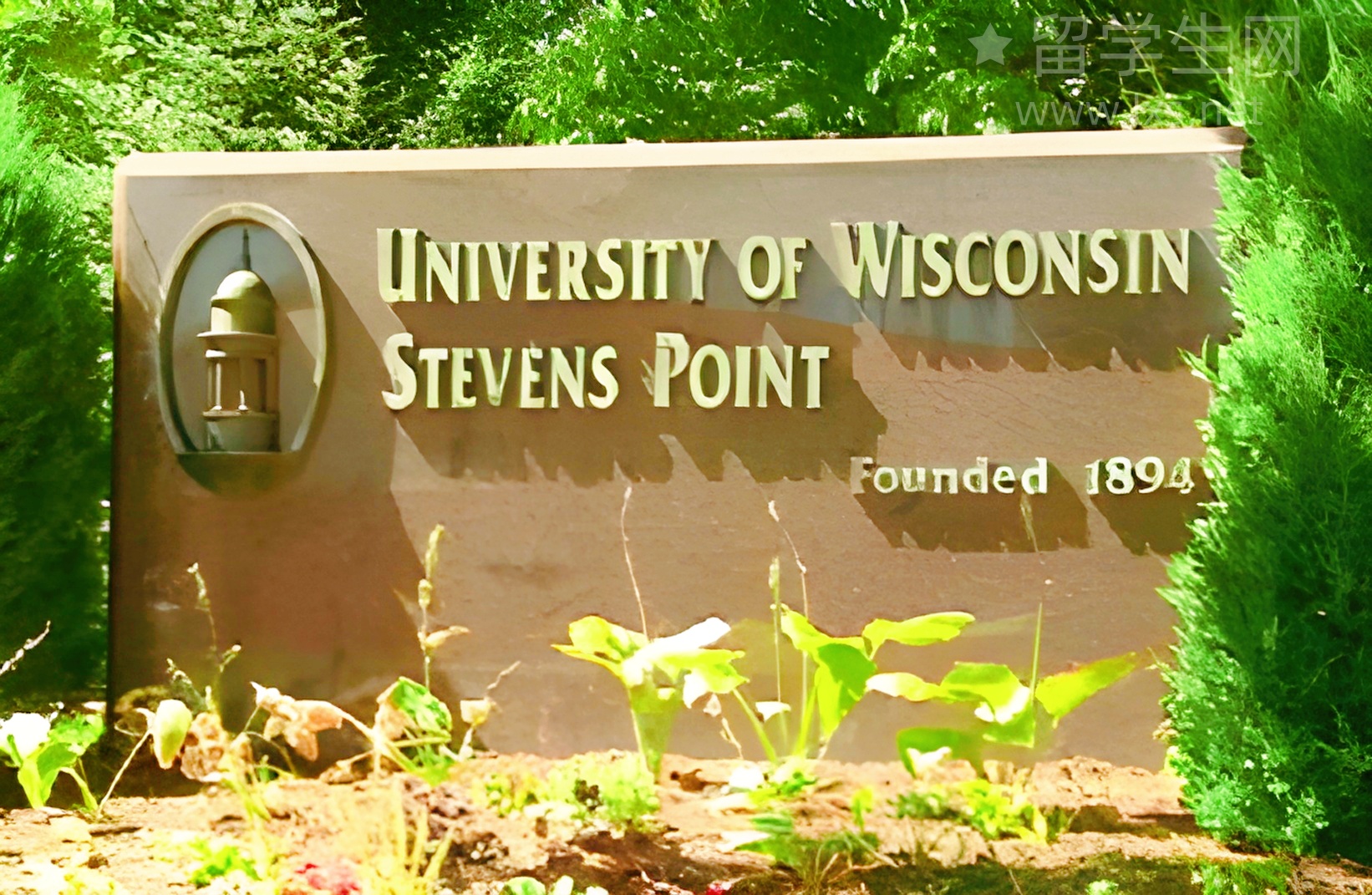 英国留学爆火的应用心理学，值得读吗？