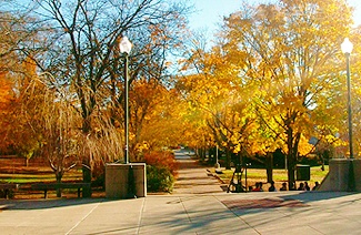 英国预科一年花销揭秘，看完心里有底！