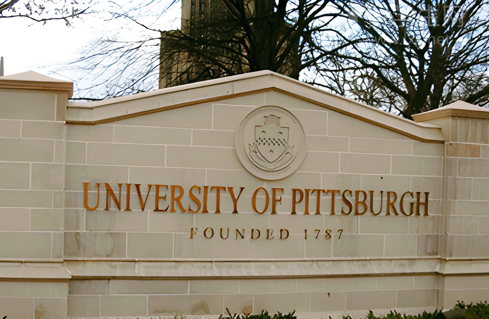 杭州暑假雅思弯道超车，就现在！