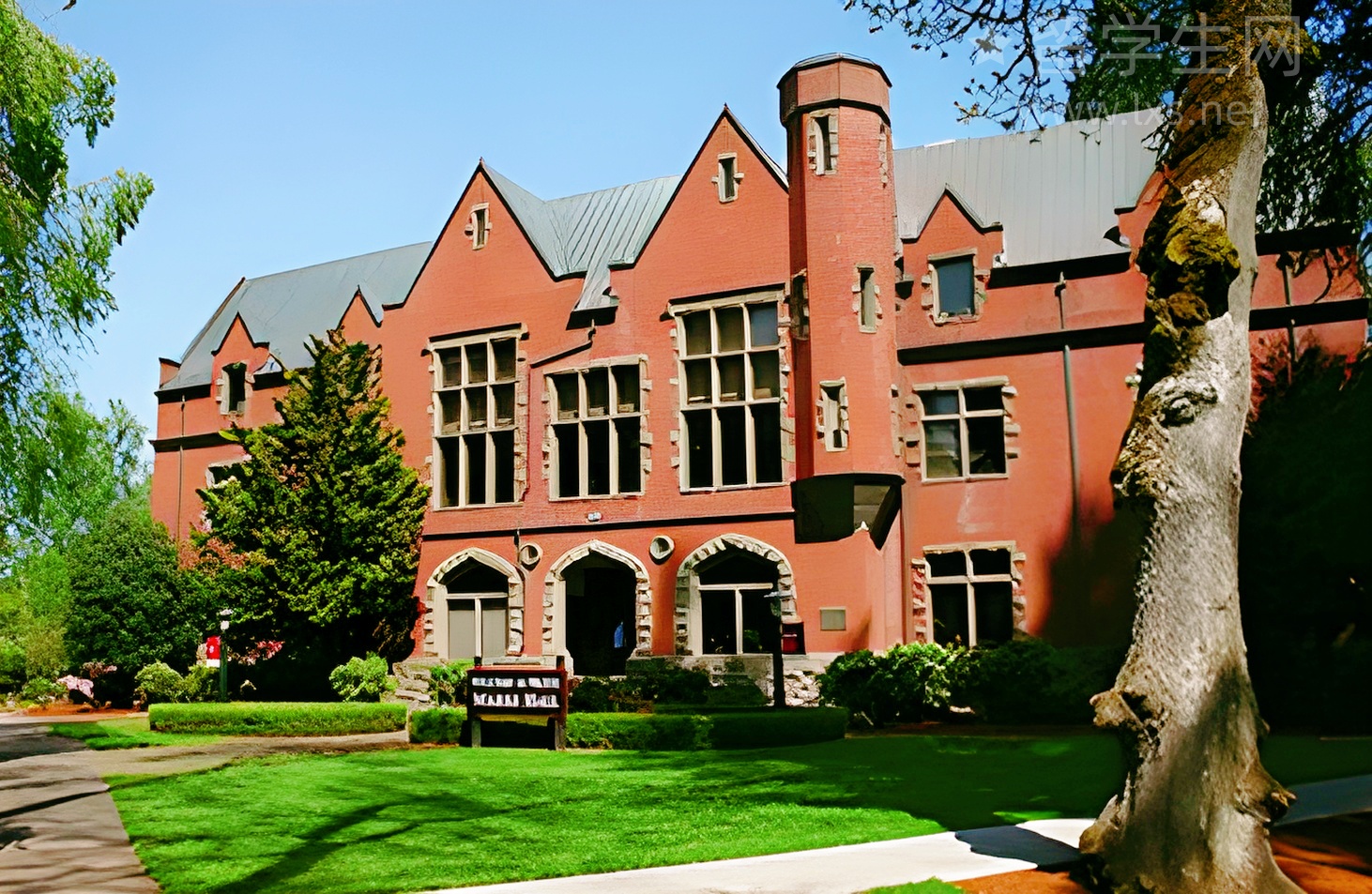 韩语小白逆袭！韩国名校原来可以这样进