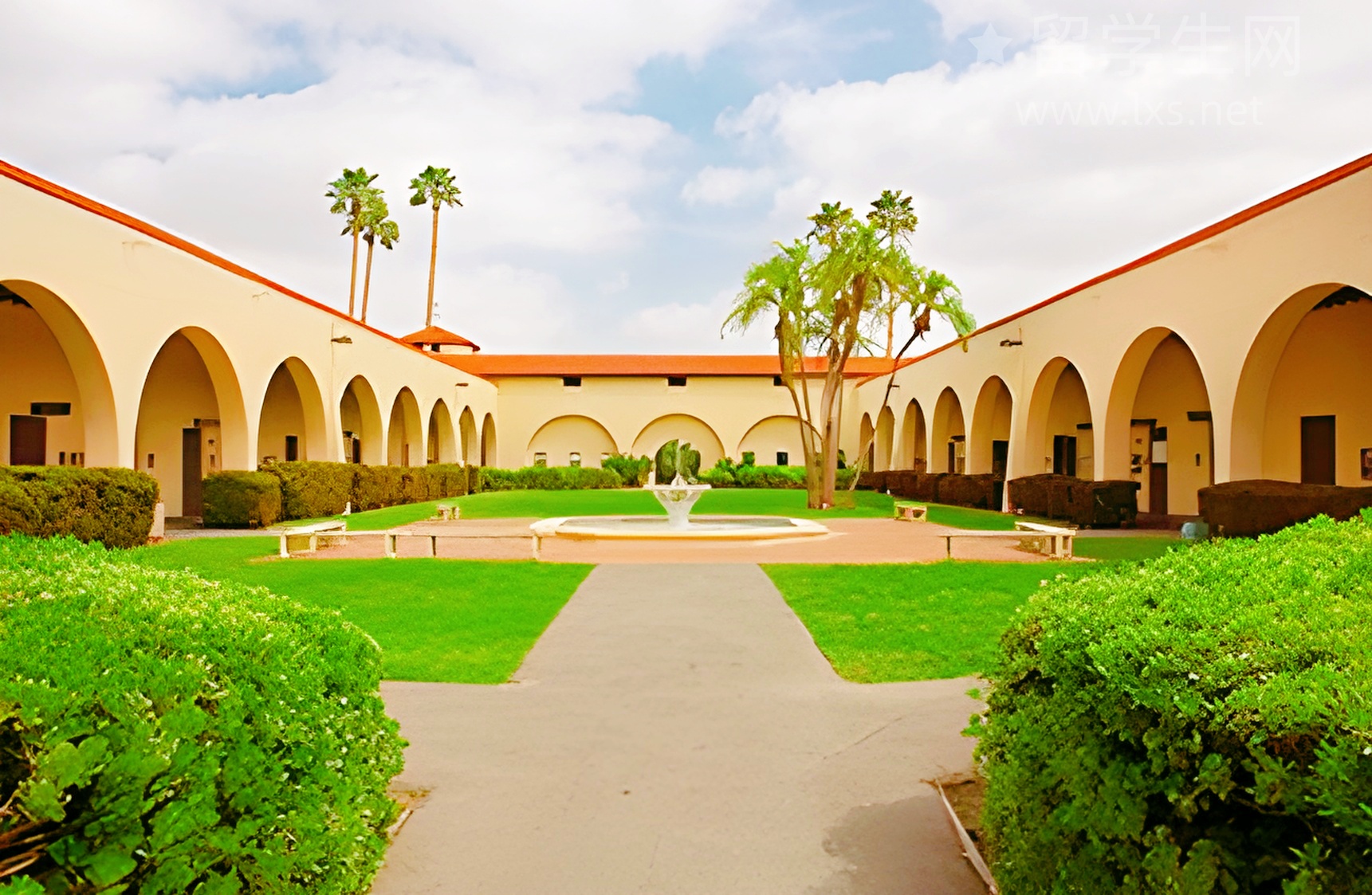 专八vs雅思8分：英语学霸的终极对决