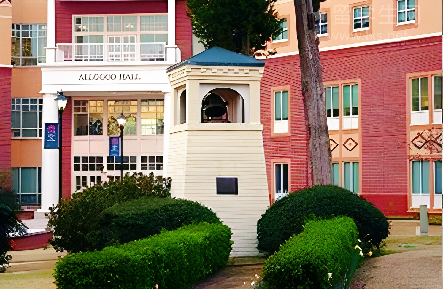 搞懂这只蚂蚁，雅思阅读直上8分！