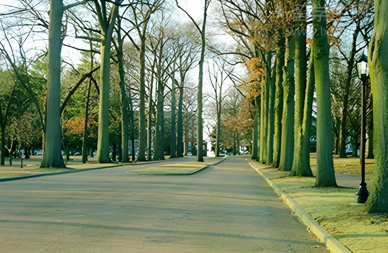 圆梦弘大，本科申请条件全解析