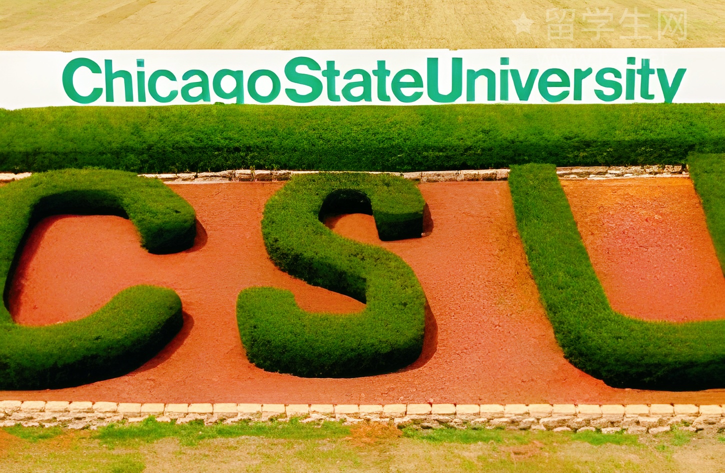 墨大学霸养成记：心理学科研通关指南