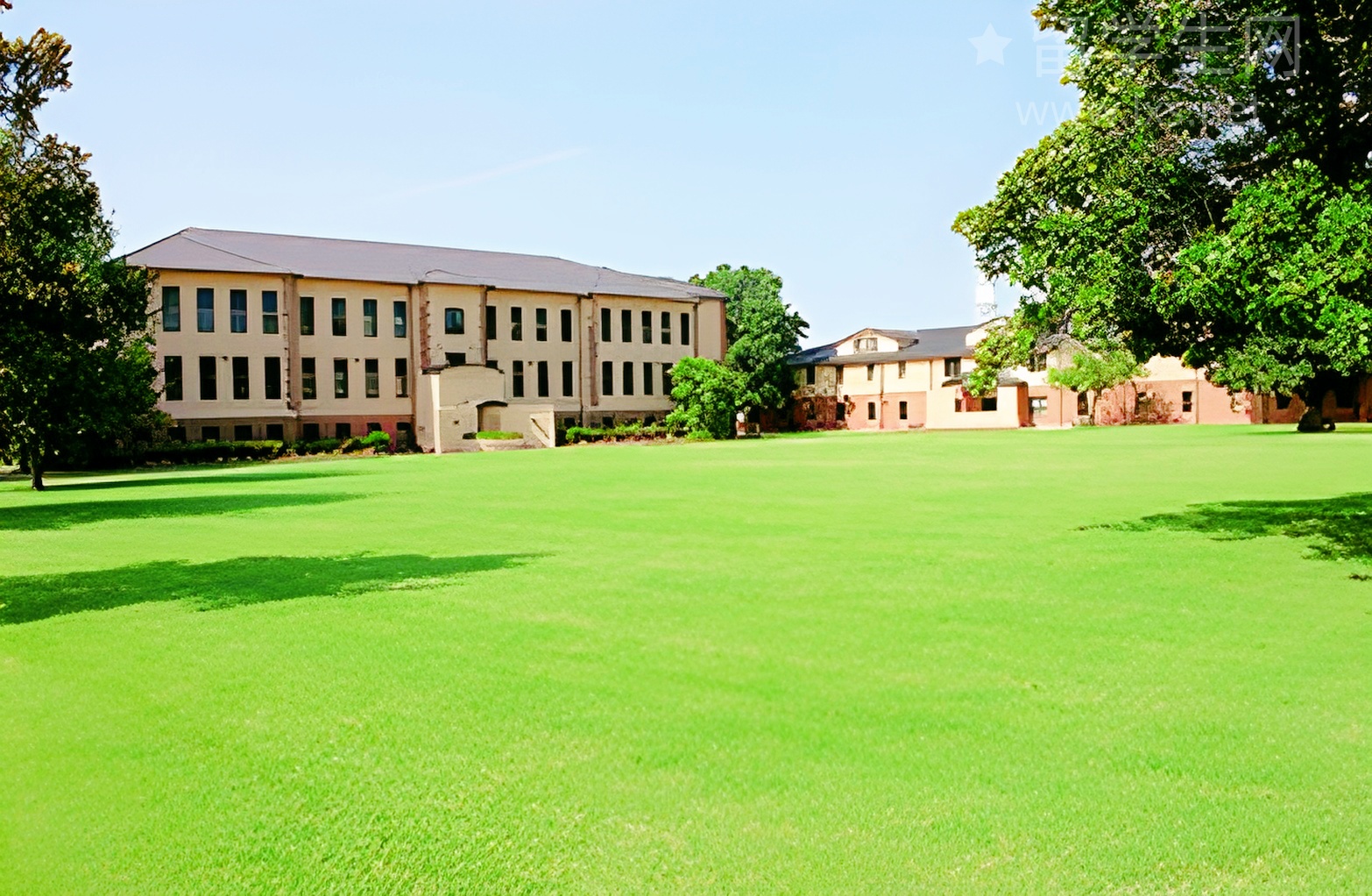 雅思作文告别6分，你只差这一篇