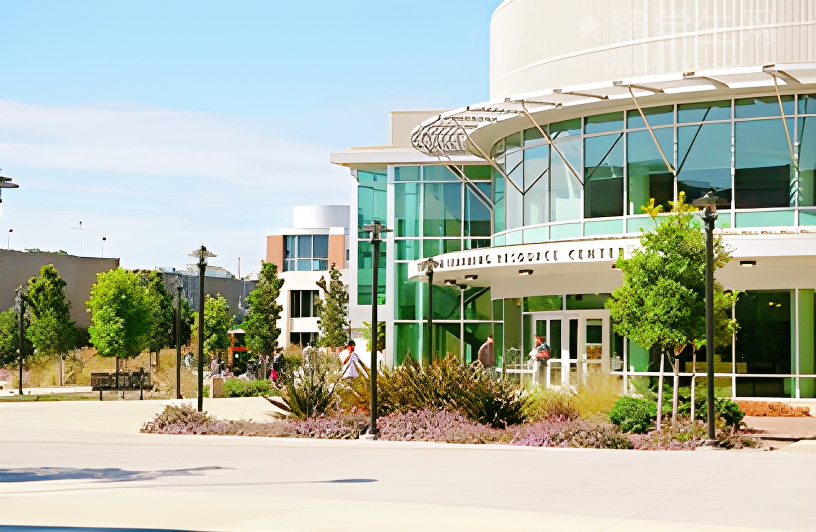 开口跪!雅思口语大神高分秘籍全公开