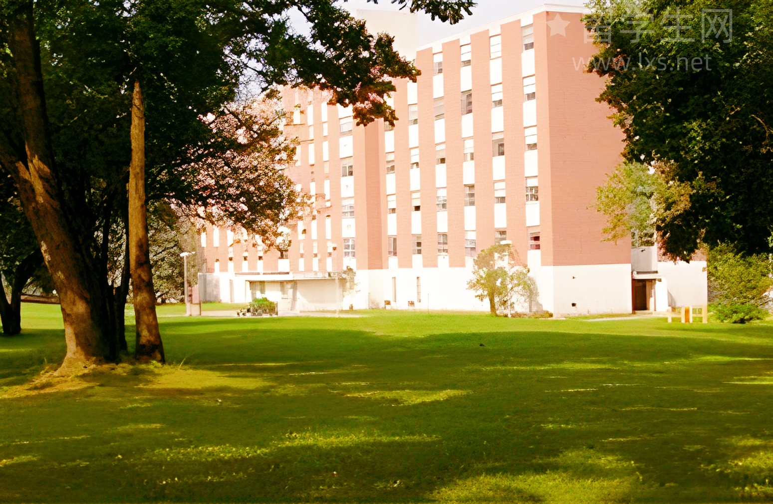 中学生英港留学，保姆级攻略助你轻松上岸