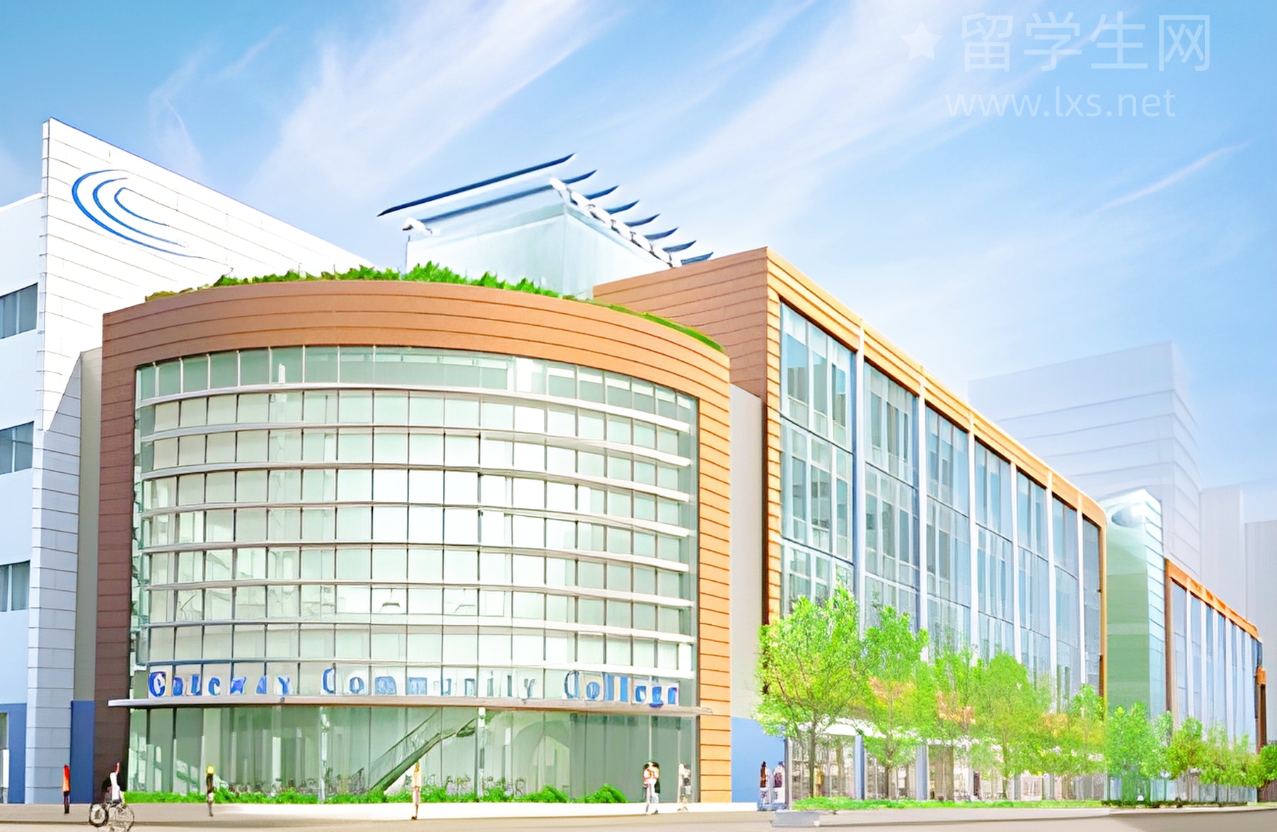 广州雅思培训怎么选？高分学长血泪经验