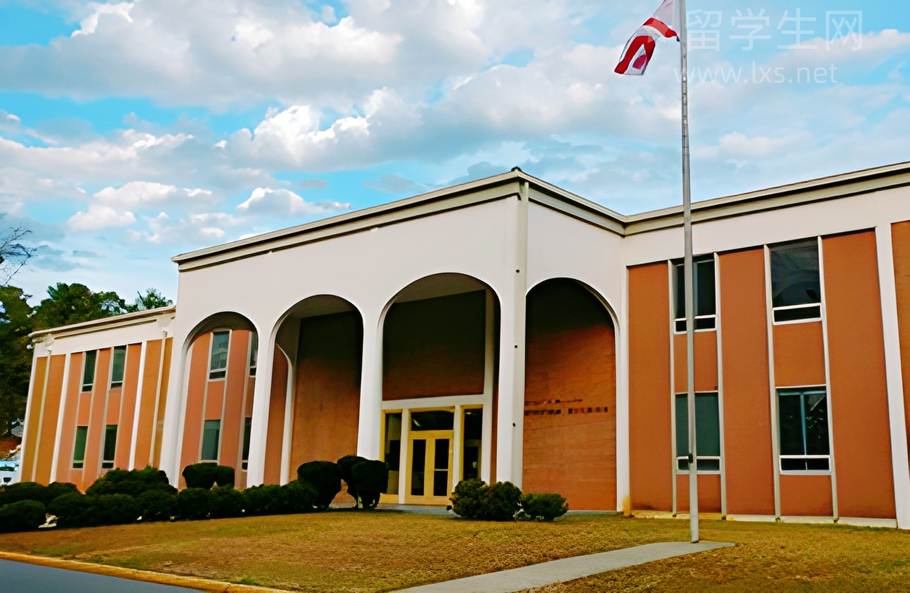 雅思高分备考秘籍，一篇讲透