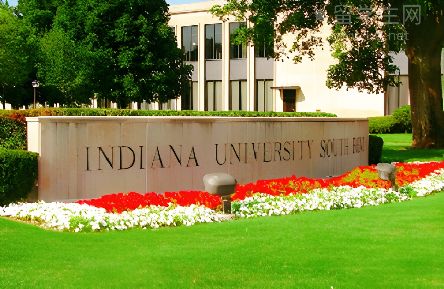 决战8月雅思，这份攻略助你上岸