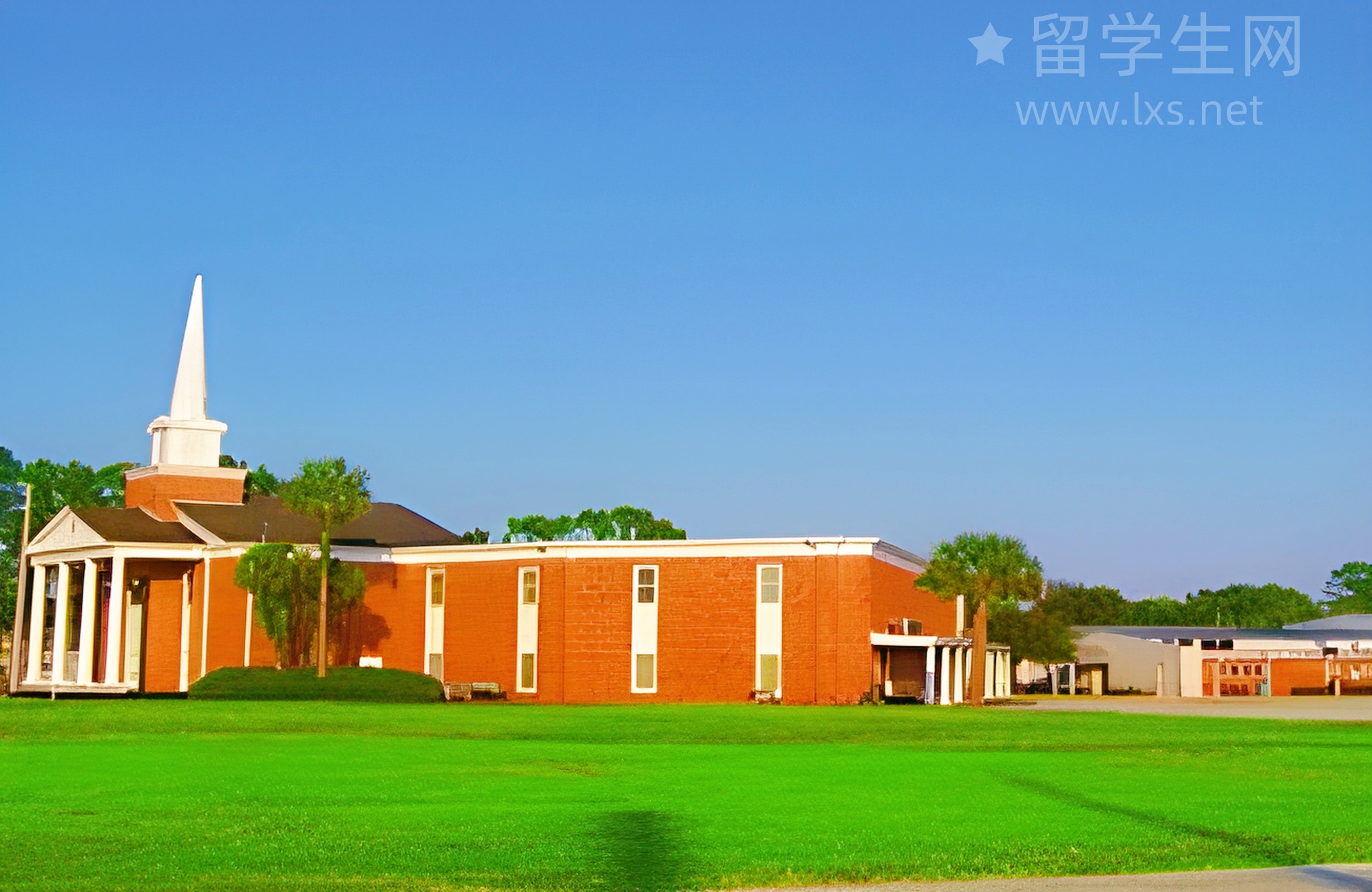 雅思全日制：你的冲分特训营