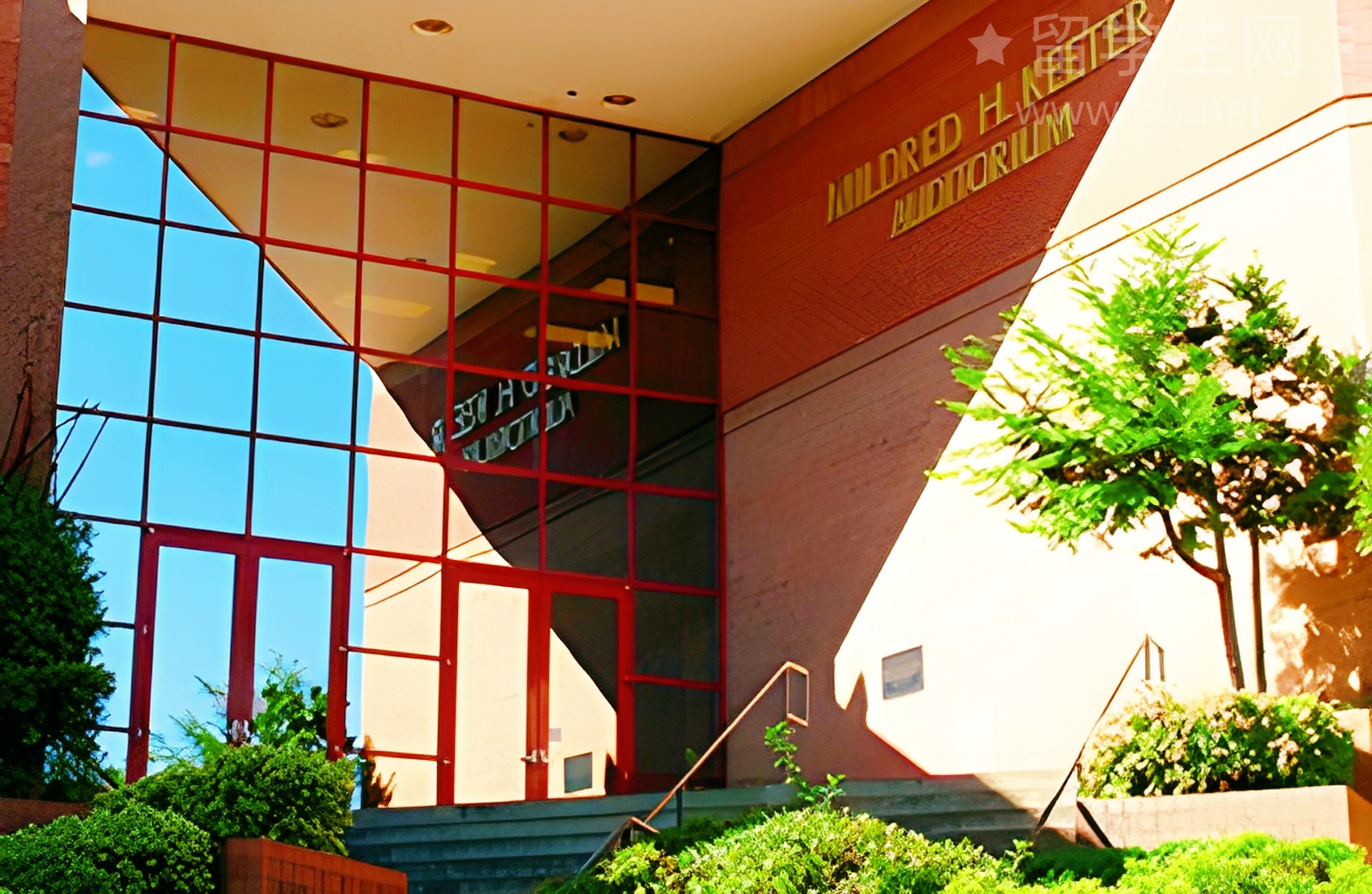 都说雅思难，到底难在哪？一次说清