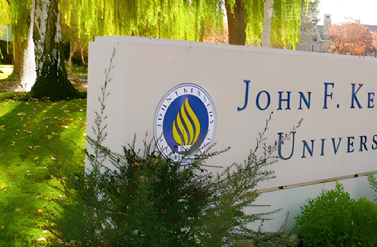 江门学雅思，原来高手都藏在这里！