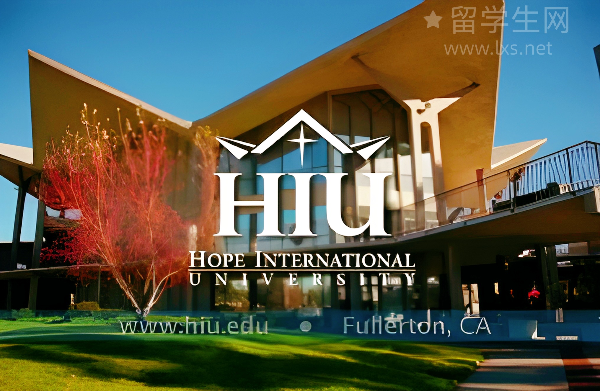 全网刷屏的牟雅思，到底有多惊艳？