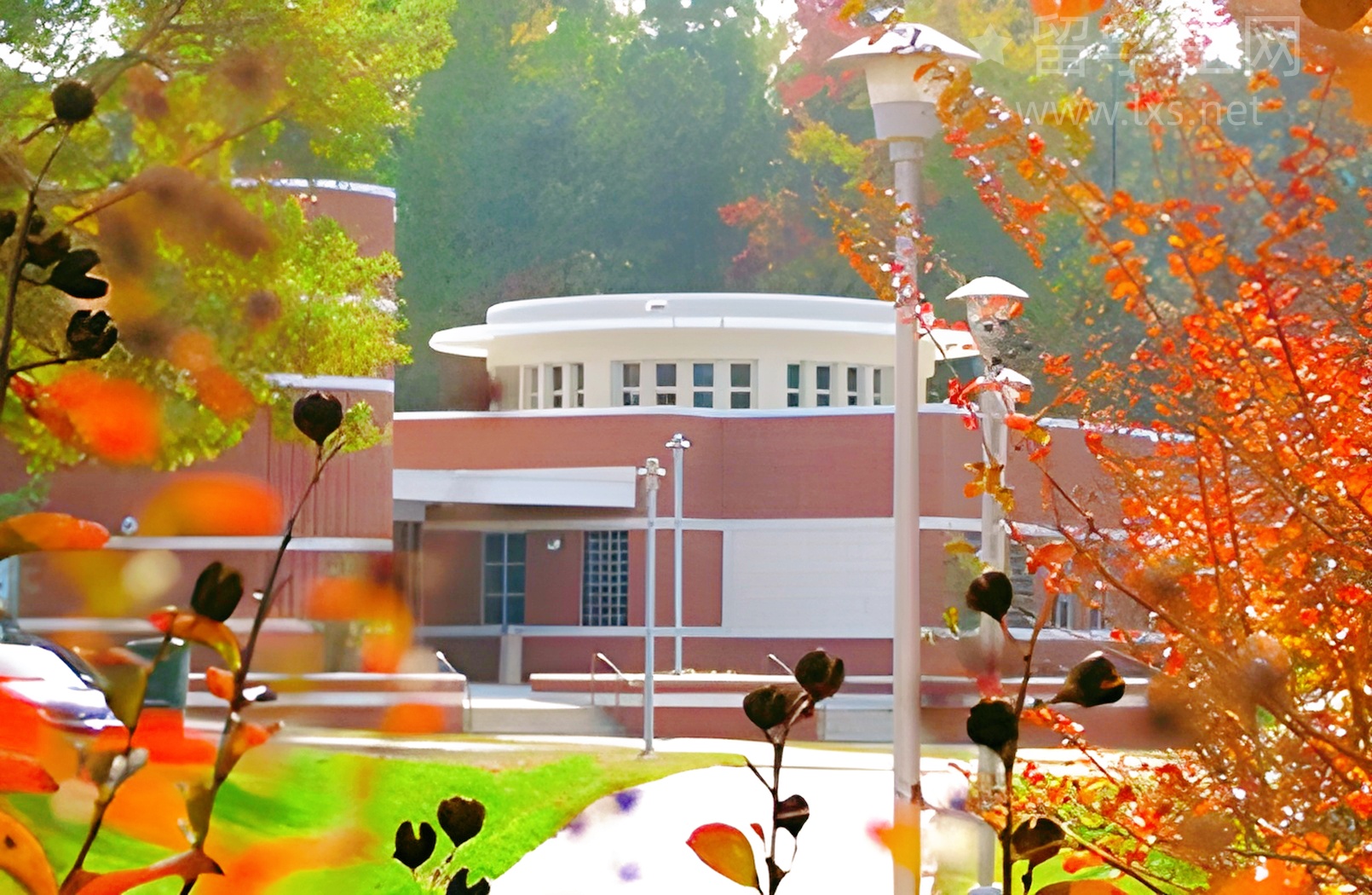 雅思高分捷径，跟无效刷题说拜拜