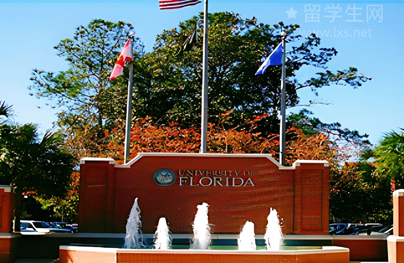 环球雅思,是神助攻还是智商税?深度揭秘