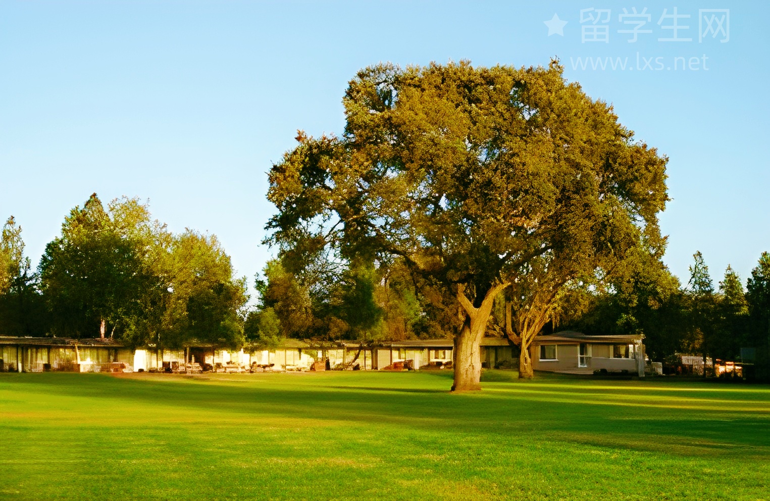 雅思口语想上7+？这份作业清单请收好