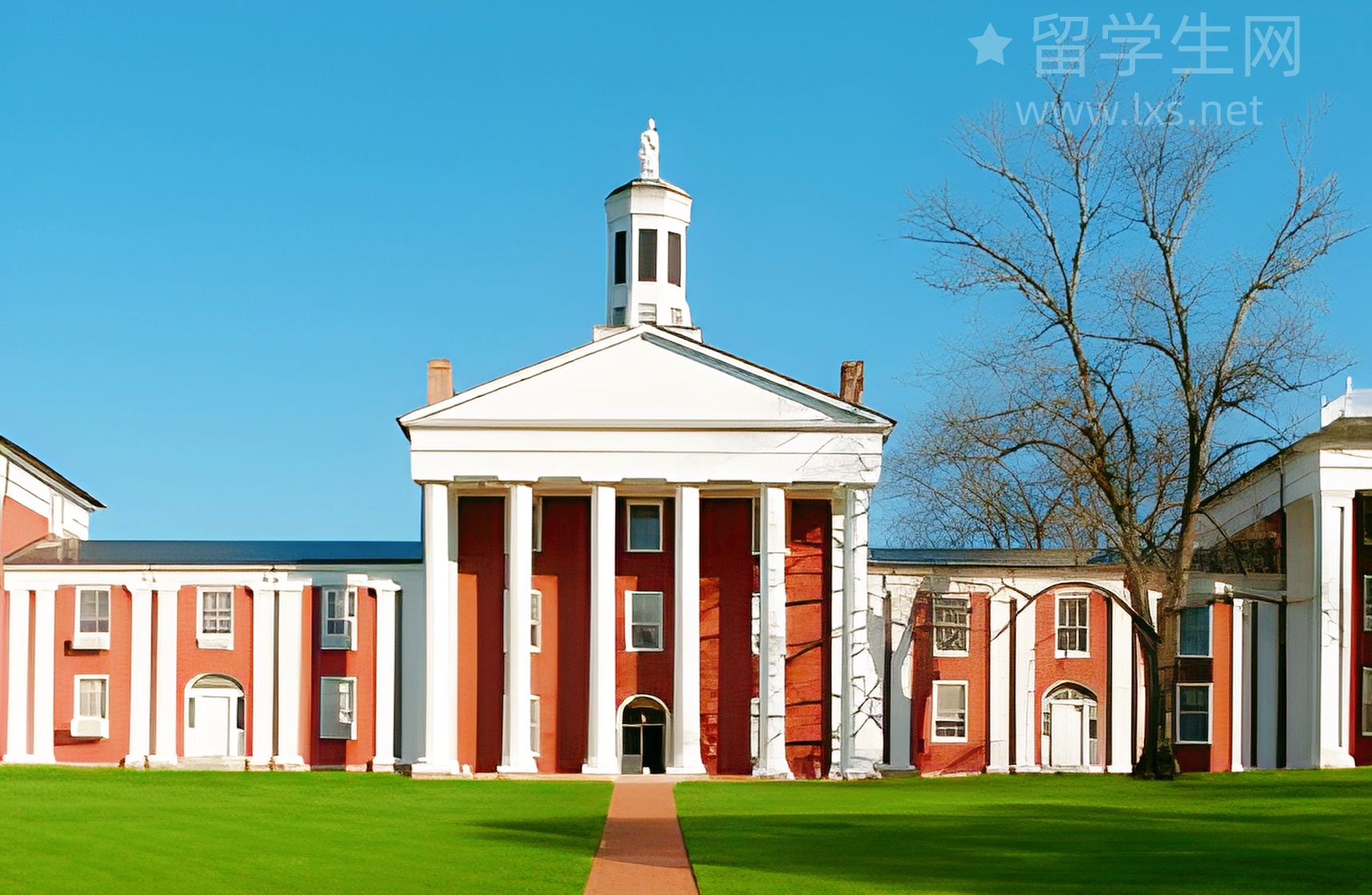 选对雅思培训班，备考效率翻一倍！