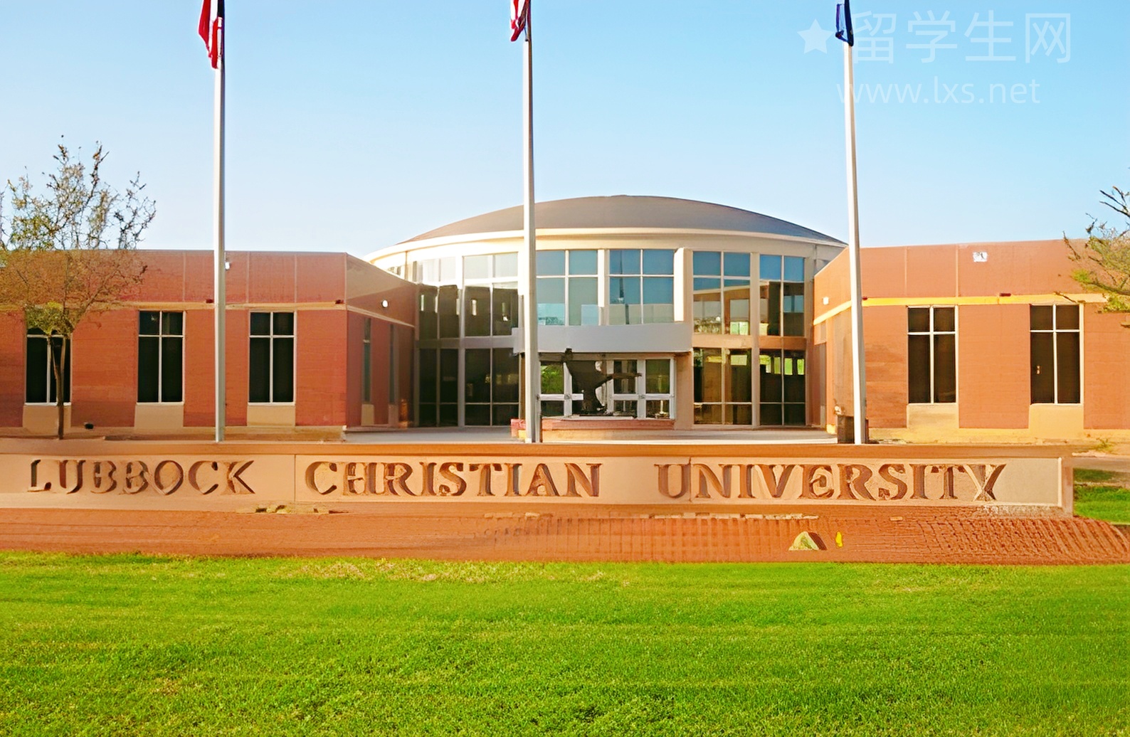 预科：通往新西兰名校的黄金跳板