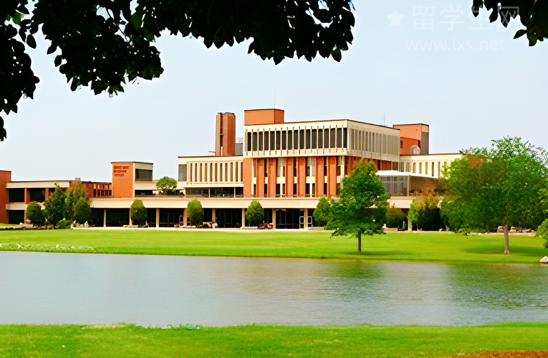 雅思怎么学才牛？看这篇就够了