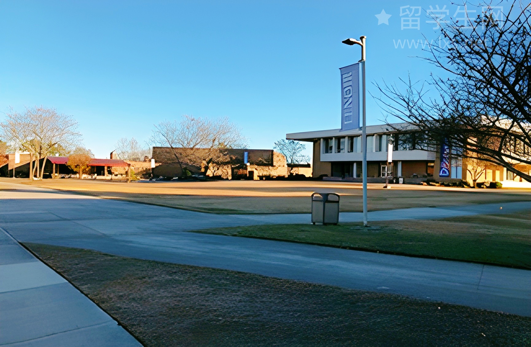 留学爆款商科金融，是真香还是巨坑？