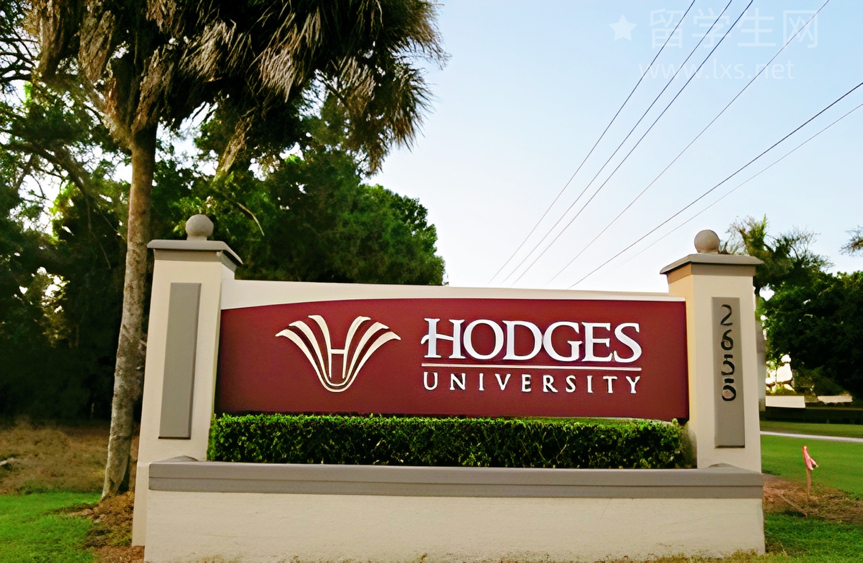 大学生首考雅思，这样做直冲7.5+