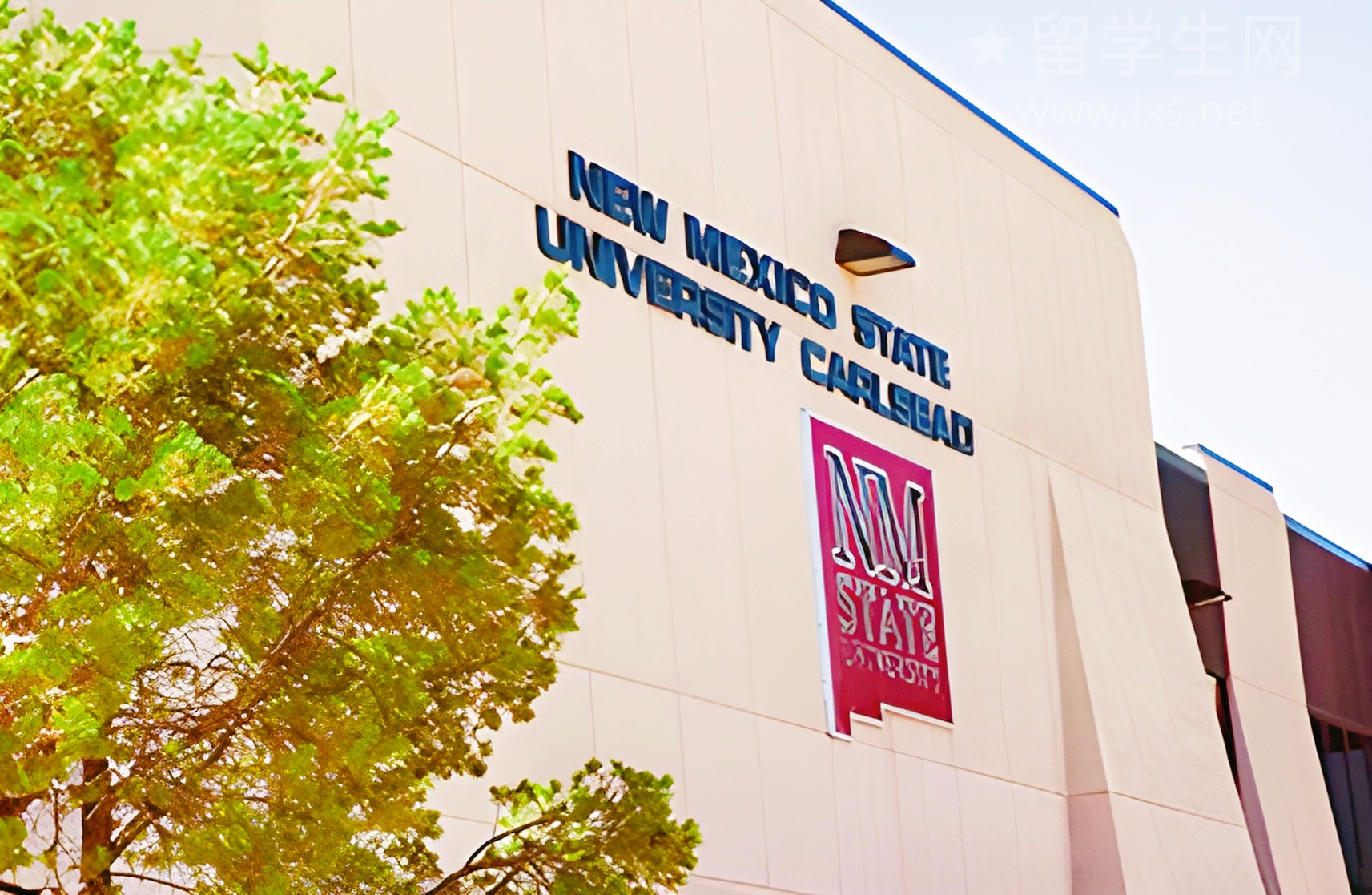 泉州雅思高分秘籍，学霸私藏干货！