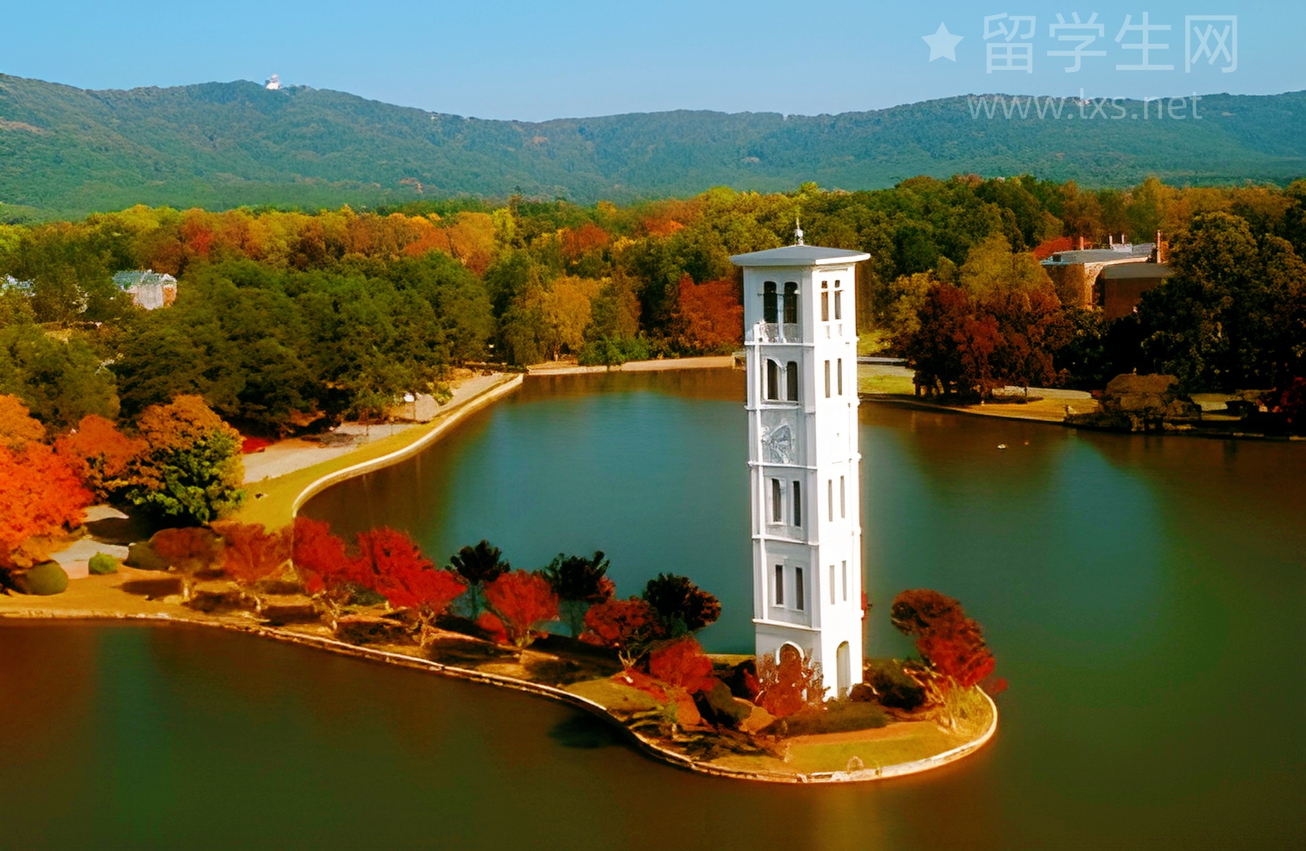 别让剑桥雅思的官方错误拉低你的分