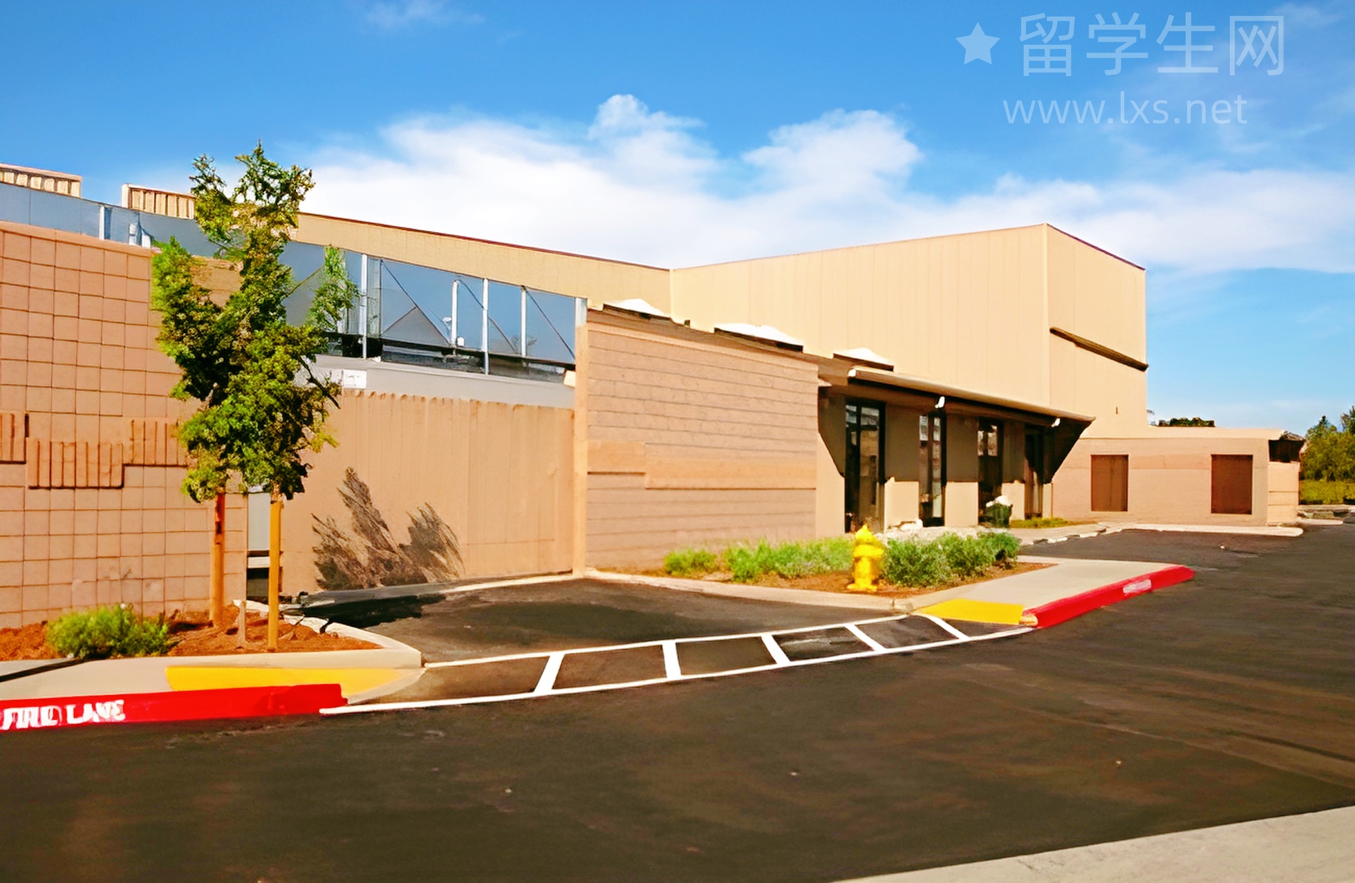 雅思高分学霸私藏教材，免费下载