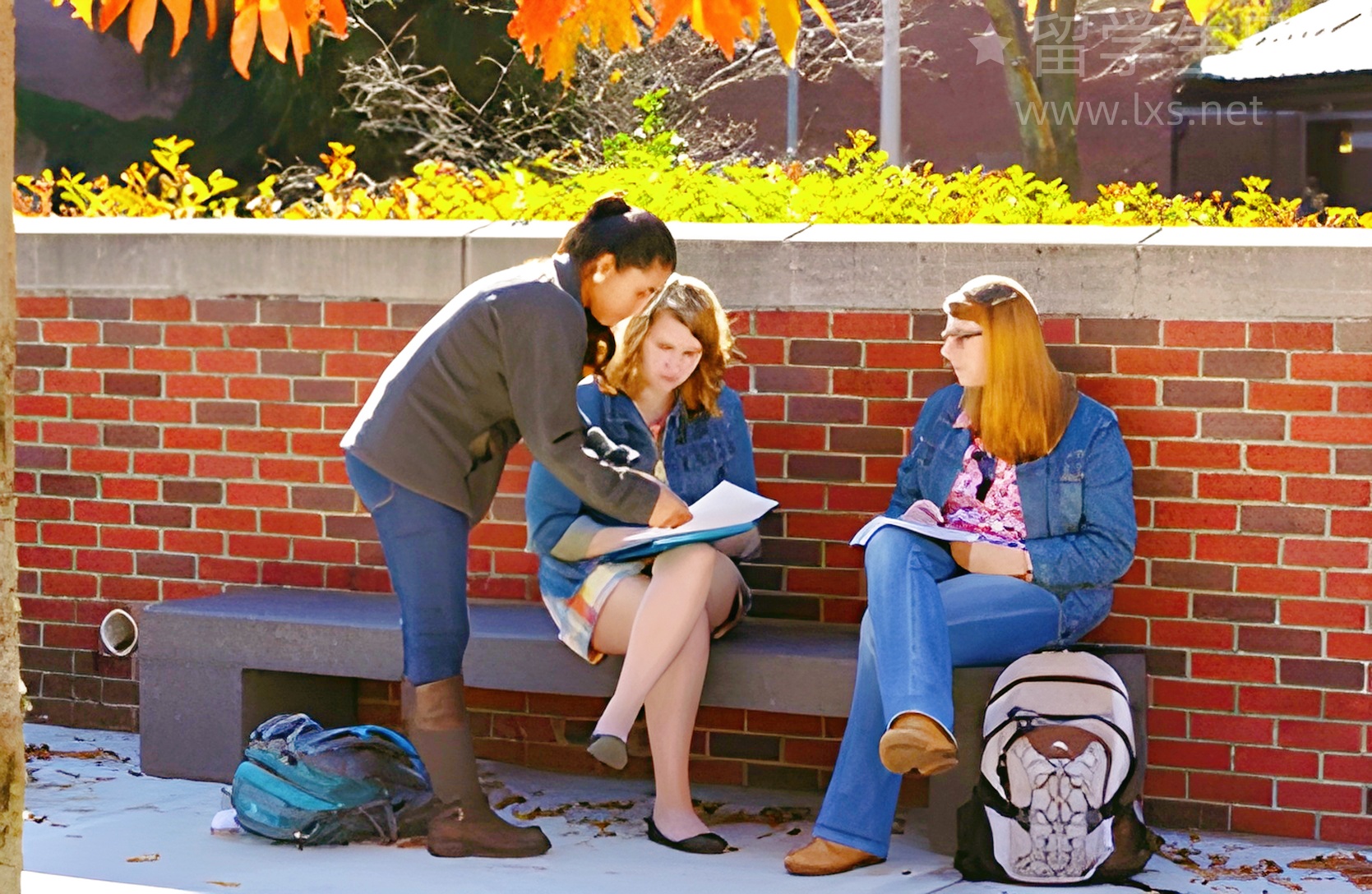 留美学费减半，申奖看这篇保姆级攻略