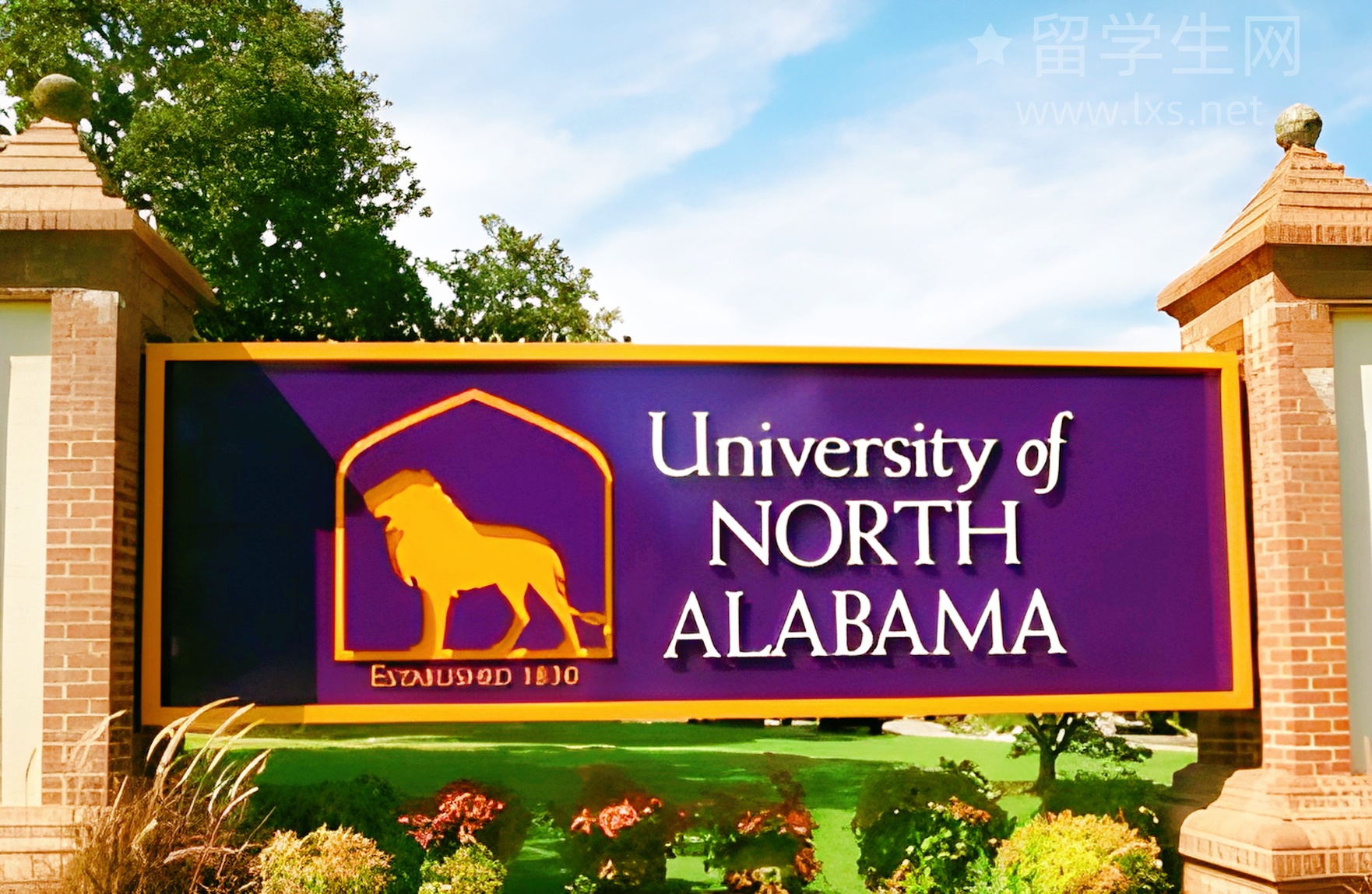 雅思报名费又涨了？2000多块钱花得值不值