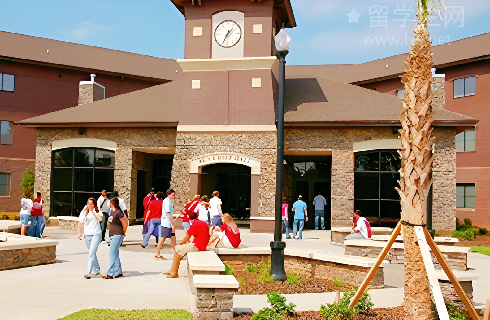 别来澳洲留学，除非你扛得住这些