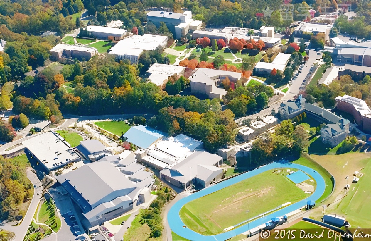 呼市雅思高分秘籍，轻松解锁留学梦